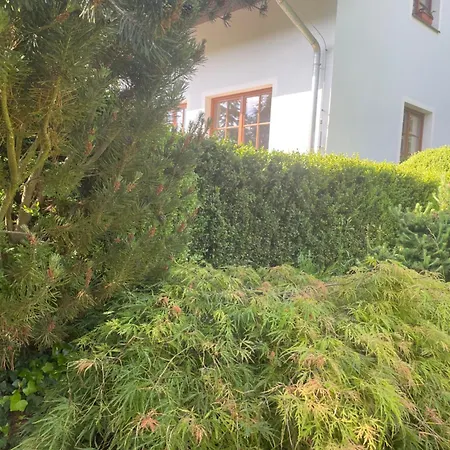 Country house Bezdekovec *